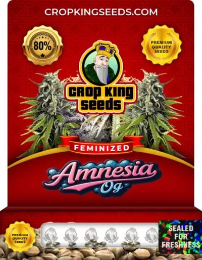 Amnesia OG